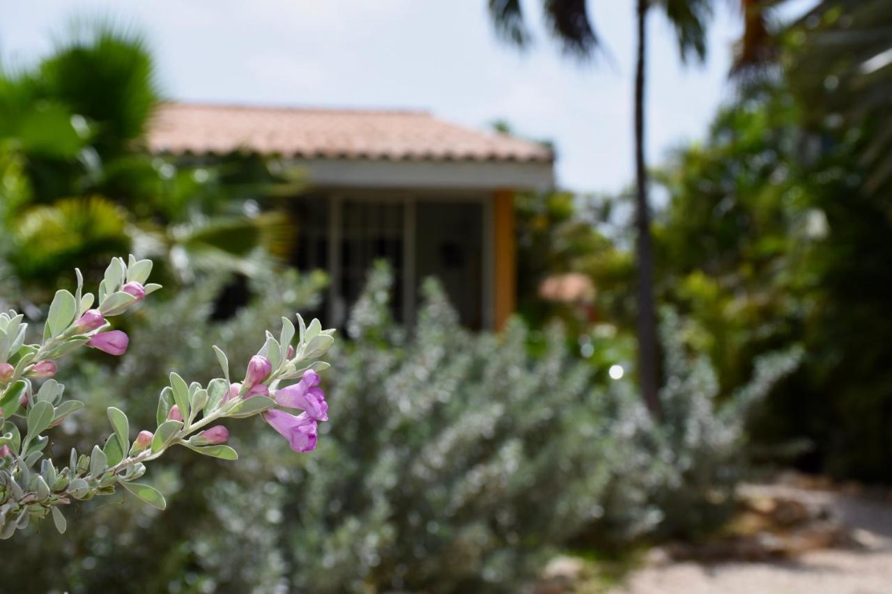 Seru Coral Apartment Willemstad Luaran gambar
